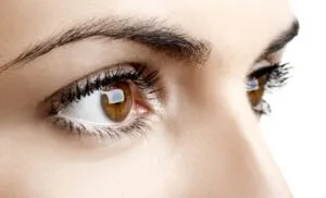 Eyebrows 1