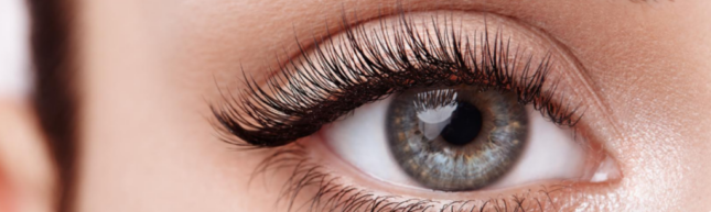 services brows lashes 1024x307 1 e17715504063041